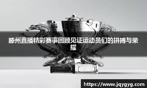 V体育